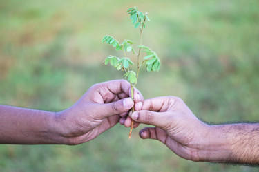 Similar image 10502112