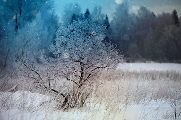 Similar image 10502205