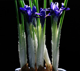 Similar image 10502207