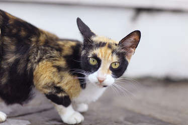 Similar image 10502340