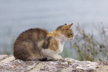 Similar image 10502341