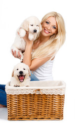 Similar image 10502464