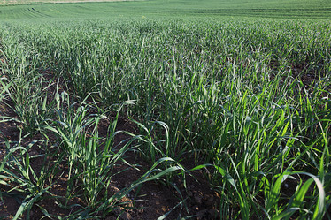 Similar image 10502514