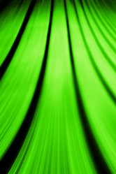 Similar image 10502517