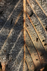 Similar image 10502523