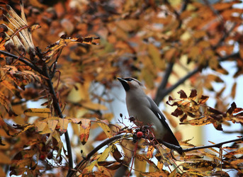 Similar image 10502541