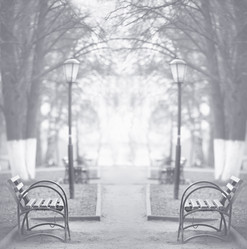 Similar image 10502546