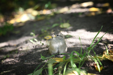 Similar image 10502550