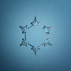 Similar image 10502552