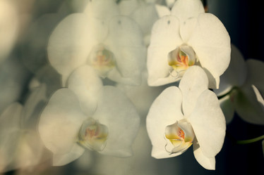 Similar image 10502572