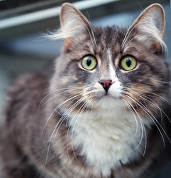 Similar image 10502574