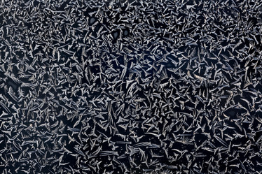 Similar image 10502575