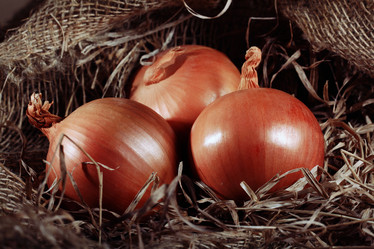 Similar image 10502584