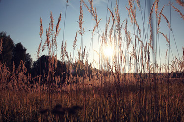 Similar image 10502632