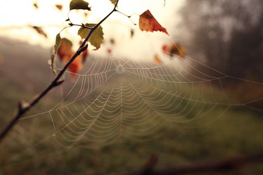 Similar image 10502634