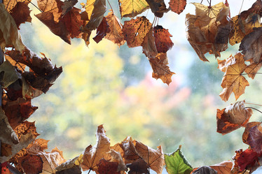 Similar image 10502637