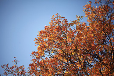 Similar image 10502646