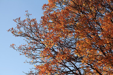 Similar image 10502649