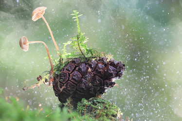 Similar image 10502682