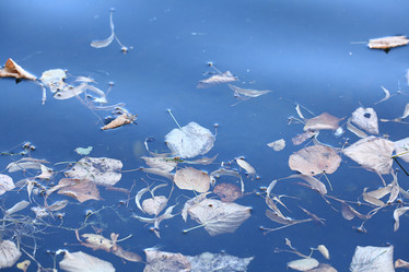 Similar image 10502708