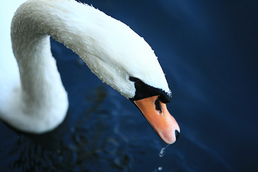 Similar image 10502710