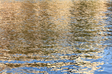 Similar image 10502713