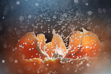 Similar image 10502728