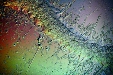 Similar image 10502733