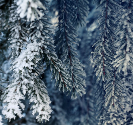 Similar image 10502734