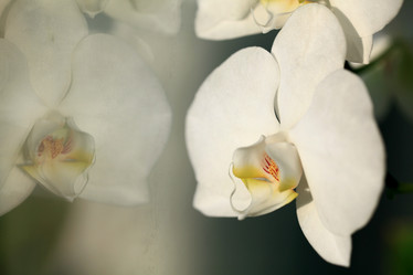 Similar image 10502742