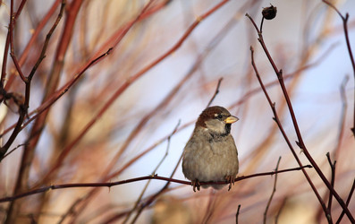 Similar image 10502747