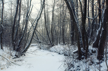 Similar image 10502749