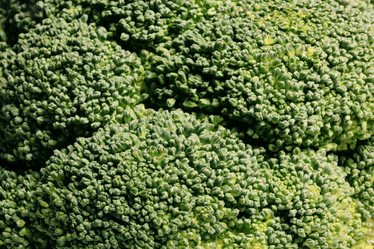 Similar image 10502764