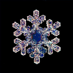 Similar image 10502772