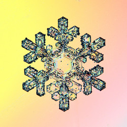 Similar image 10502773