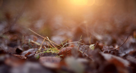 Similar image 10502776