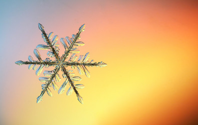 Similar image 10502779