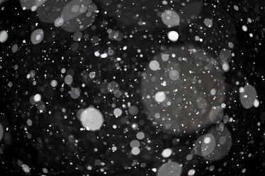 Similar image 10502782