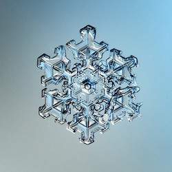 Similar image 10502781