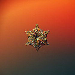 Similar image 10502784