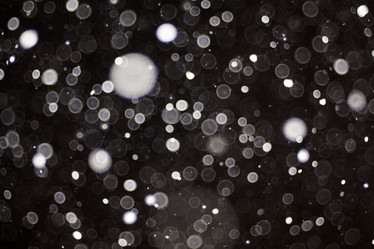 Similar image 10502785