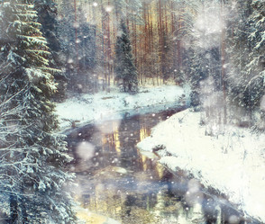 Similar image 10502790