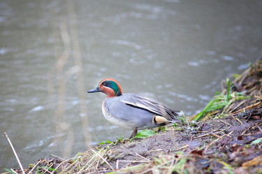 Similar image 10502804