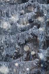 Similar image 10502805