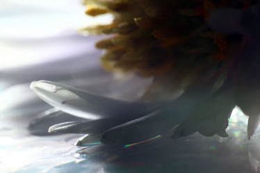 Similar image 10502807