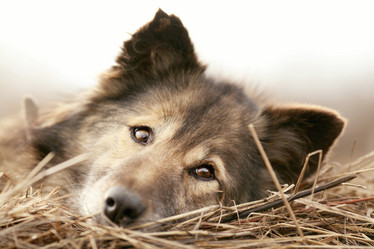 Similar image 10502816