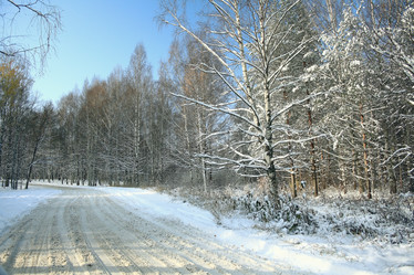 Similar image 10502817