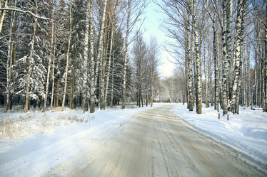 Similar image 10502821