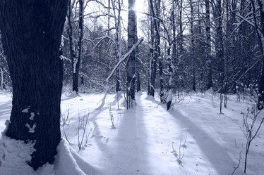 Similar image 10502825