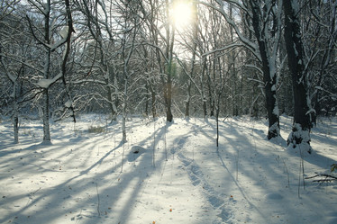 Similar image 10502827